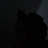 carlisajohns663